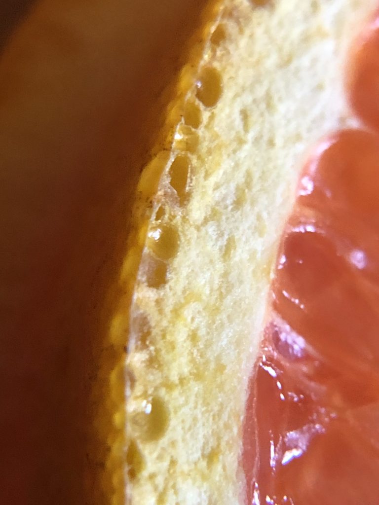 Macro of orange peal